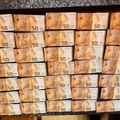 Velika akcija u bih: Proterali šumsku mafiju