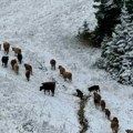 Nestvarne snežne slike sa Jahorine: Pogledajte kako se zimska lepotica sprema za sezonu