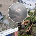 Zastrašujući snimci oluje u gradu u Srbiji: Polomljeno drveće, varnice usred pljuska, prevrnute klupe (Video)