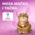 Biraju se najlepše mace – izložba „Moja mačka i tačka” u Delta Planetu