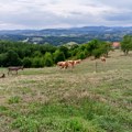 Danas sunčano i toplo, sa temperaturama do 31 stepen