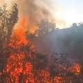 Izgorela napuštena baraka u Novom Sadu (video)