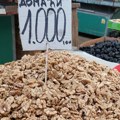 Sadnja oraha: Investicija koja traje decenijama, ali nije za nestrpljive, evo da li se isplati gajenje oraha u Srbiji