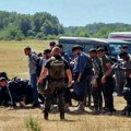 Velika akcija policije na severu Srbije: Pronađeno 300 ilegalnih migranata, oružje, municija /foto/