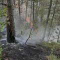 Grom izazvao požar na Tari! Gase ga vatrogasci i meštani