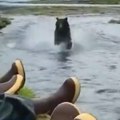 Divlji medved se zatrčao ka izletnicima pored reke: Da li im je živote sačuvala ova reakcija