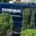 Saslušan terorista koji je planirao nasilnu smenu vlasti: Spremao nasilne akcije i sukobe s policijom, Tužilaštvo predložilo…