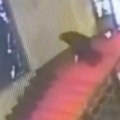 Političar se sapleo dok je silazio niz stepenice, pa glavom razbio vitražno staklo neprocenjive vrednosti: U sali nastao muk…