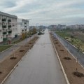 U Ulici Miloša Đorića zasađeno 65 sadnica