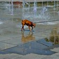 Toplo i sparno vreme uz pljuskove i grmljavinu: Na snazi žuti i narandžasti meteoalarm
