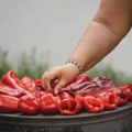 Pekli paprike na terasama i u podrumima, pa dobili ogromne kazne: Komunalci samo tokom vikenda kaznili više od 10 građana