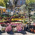 Od ukrasnih bundeva do raskošnih hrizantema: U centru grada počela jesenja „Garden flora“