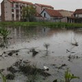 Kanal u Krnjači ponovo zagađen i pun smeća