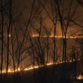 Ugašen Veliki Požar kod rakovca na Fruškoj gori: Na teren izašla 4 vatrogasna vozila, 2 sata se borili sa vatrenom stihijom