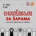 „Druženje sa šapicama“ u subotu u kampusu Novosadskog univerziteta