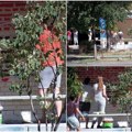 (Foto, video) u novom sadu prefarbavaju srpske zastave Blokaderi kreče trobojke na Limanu