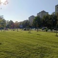 Niš dobija više zelenih površina – građani predlažu lokacije za sadnju novih stabala