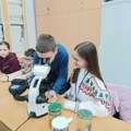 Od seciranja lignje, preko algoritama, do hemijskih eksperimenata – preko 150 đaka istražuje svet nauke