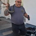 Vladica otkrio šta nikako ne smete da radite ako vas ujede zmija: Objavio jeziv snimak hvatanja poskoka (video)