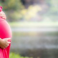 Ajova zabranjuje abortus posle šeste nedelje trudnoće