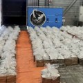 Zaplenjeno 2,7 tona kokaina Uhapšen i Srbin (70), nije bio sam!