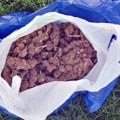 Na obali kanala Morače pronađeno 57 kilograma marihuane