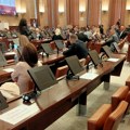 GIK u Novom Sadu prihvatila listu stranke Istina, nosilac je Ivana Vujasin
