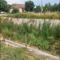 Nemar čačanske vlasti