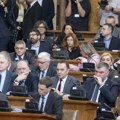 Леви рецепт за десницу: Да ли ће бити „суверенистичке” колоне на изборима