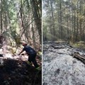 Požar na granici Srbije i Crne Gore: Gori četinarska šuma, vatrogasci se bore sa vatrenom stihijom