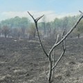 „Juče je bilo kritično, danas je situacija mirnija“: Novinar iz Kovina za Insajder o novom žarištu u Deliblatskoj peščari…