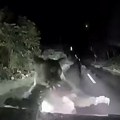 (Video) Horor na putu! Zver se pojavila iz mraka, podigla na zadnje šape i silovito zakucala u auto: Probušila lim, vozač…