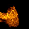 Nepoznata osoba zapalila štalu i seno: U plamenu nestalo 100.000 dinara