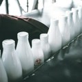 Srbija ipak ne spušta nivo aflatoksina u mleku: Rok produžen za još godinu dana