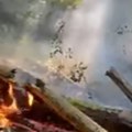 Гори шума на планини у западној Србији! Ватрогасци се једва пробијају до буктиње