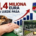 SPP Novi Pazar: Za 10 godina Grad Novi Pazar isplatio oko 1,4 miliona eura za ujede pasa