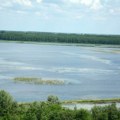 Vanredna situacija u Somboru, Kuli i Vrbasu zbog istorijski niskog vodostaja Dunava