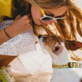 Kako zaštititi psa od toplotnih udara tokom leta: Saveti za vlasnike pasa
