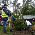 Zaposleni kompanije Carsberg Srbija u akciji sadnje obnovili park u Čelarevu