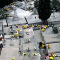 U Milanu odobreno sahranjivanje kućnih ljubimaca pored njihovih vlasnika