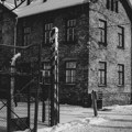 Lov na naciste: Kako su Mengele, Ajhman i Šakić godinama bežali od pravde? (VIDEO)