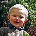 Psi rastrgli dečaka (3): Roditelji optuženi za ubistvo: Pustili dete u boks sa opasnim životinjama bez nadzora