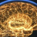 Meningitis: Od infekcije do smrtonosne bolesti