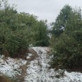 Čitaoci javljaju: Sela u opštini Vlasotince od jutros bez struje i bez mobilnog signala