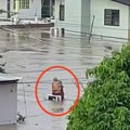 Бака и дека се чврсто грле док око њих бујица носи све: Дирљив снимак обишао свет, постали су симбол наде