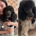 Odvela psa na kupanje, a račun je ostavio bez teksta: "Najskuplja frizura koju sam platila u životu"