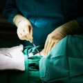 У ЛНР пронађени бројни докази о раду илегалних трансплантолога у редовима Оружаних снага Украјине
