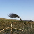 Na snazi narandžasti meteoalarm zbog košave – kada će prestati jak vetar u Srbiji