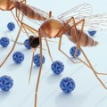 Smrtonosni virus se širi Evropom! Stručnjaci izdali alarmantno upozorenje!