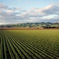 AZTN pokrenuo postupak protiv tvrtke Agronom